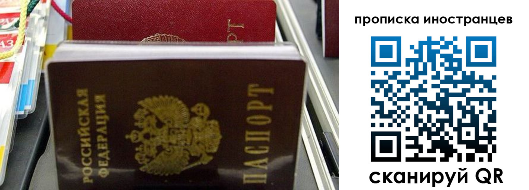 прописка для школы в Михайловке