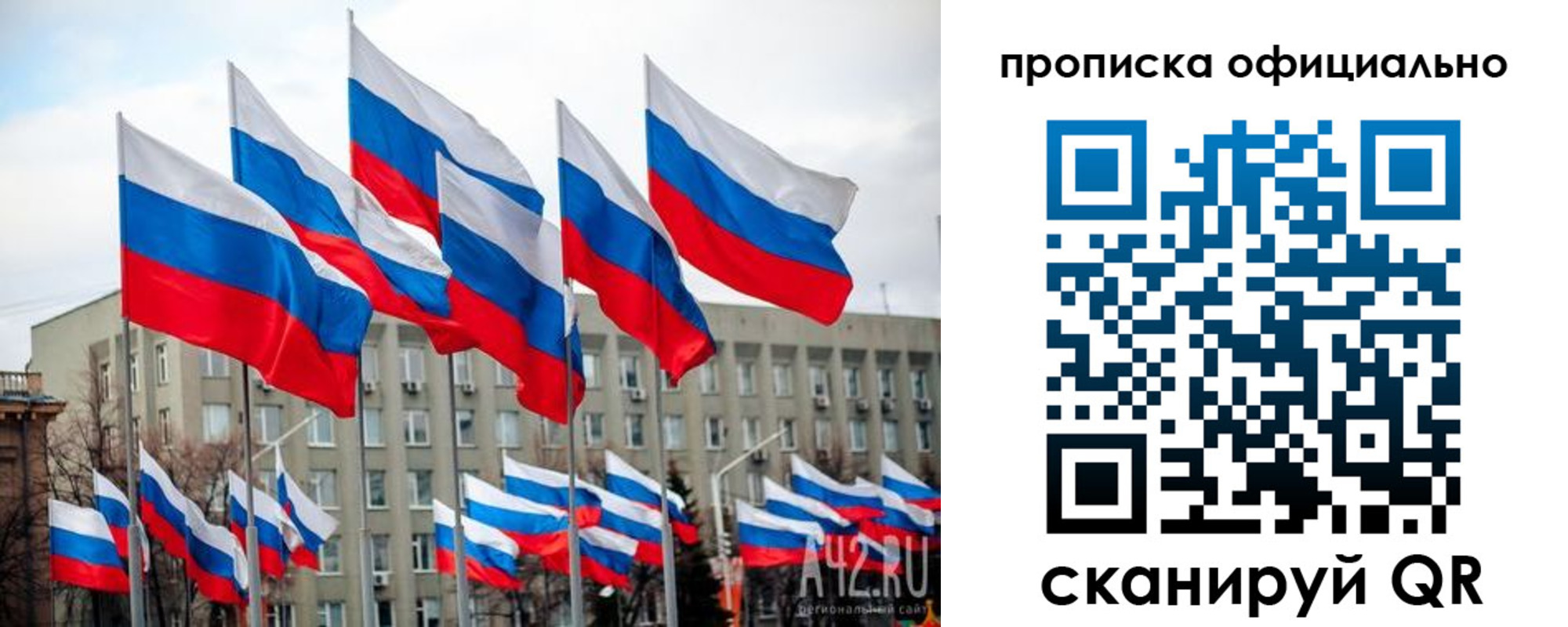 прописка поиск в Михайловке